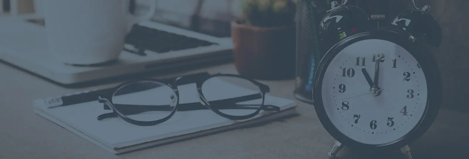 Investment Management Software