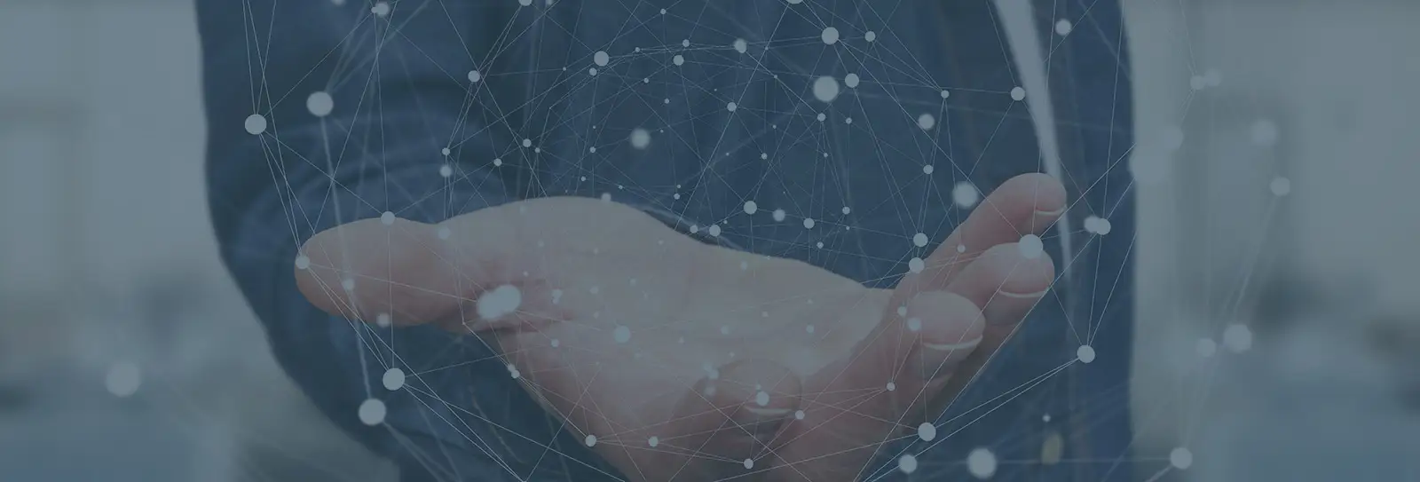 Investment Management Software
